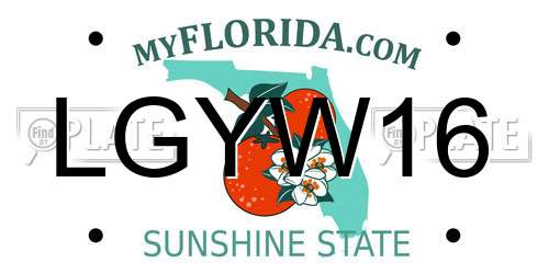 LGYW16 Florida License Plate