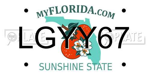 LGYY67 Florida License Plate