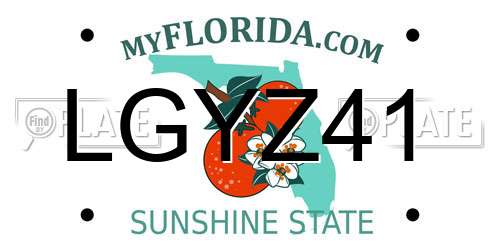LGYZ41 Florida License Plate