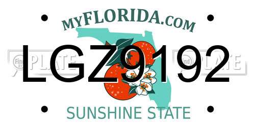 LGZ9192 Florida License Plate
