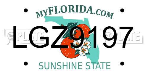 LGZ9197 Florida License Plate