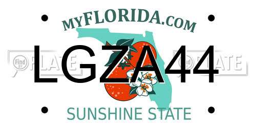 LGZA44 Florida License Plate