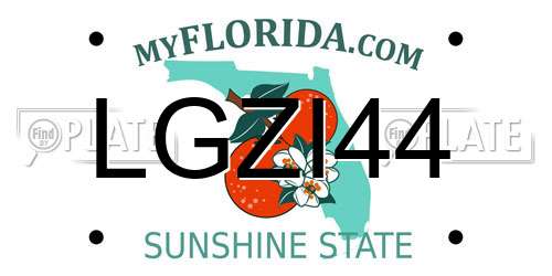 LGZI44 Florida License Plate