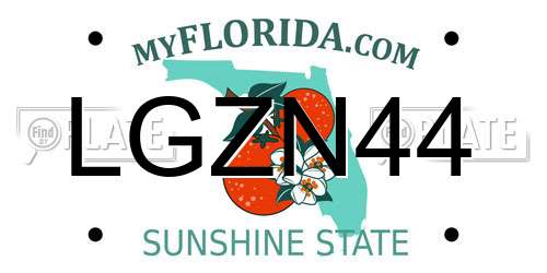 LGZN44 Florida License Plate
