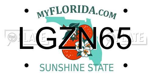 LGZN65 Florida License Plate
