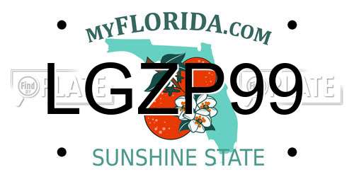 LGZP99 Florida License Plate