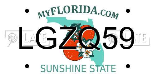 LGZQ59 Florida License Plate
