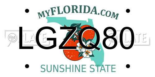 LGZQ80 Florida License Plate