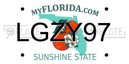 LGZY97 Florida License Plate