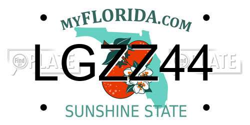 LGZZ44 Florida License Plate