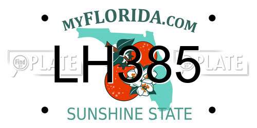 LH385 Florida License Plate