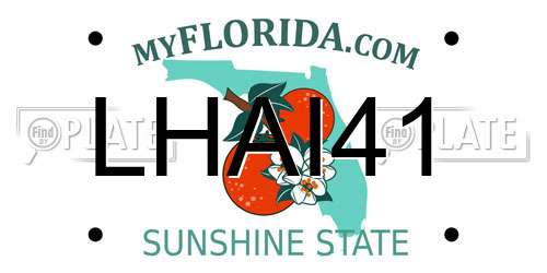 LHAI41 Florida License Plate