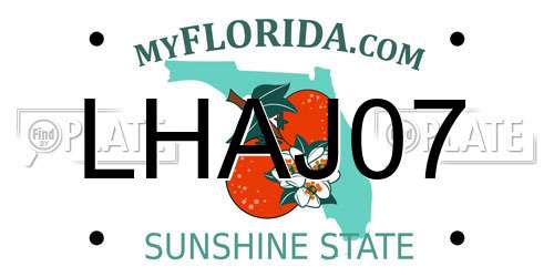 LHAJ07 Florida License Plate