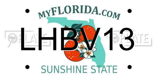 LHBV13 Florida License Plate