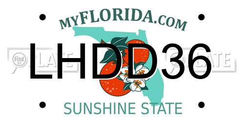 LHDD36 Florida License Plate