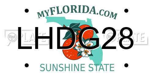LHDG28 Florida License Plate