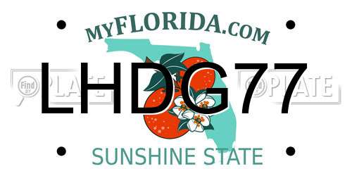 LHDG77 Florida License Plate