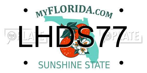 LHDS77 Florida License Plate