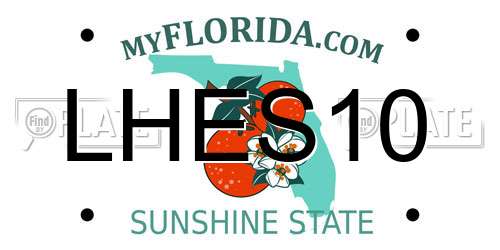 LHES10 Florida License Plate