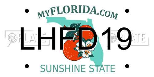 LHFD19 Florida License Plate