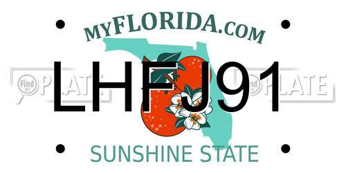 LHFJ91 Florida License Plate