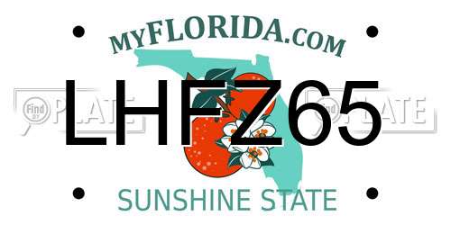 LHFZ65 Florida License Plate