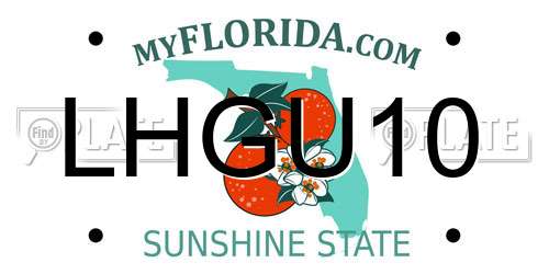 LHGU10 Florida License Plate