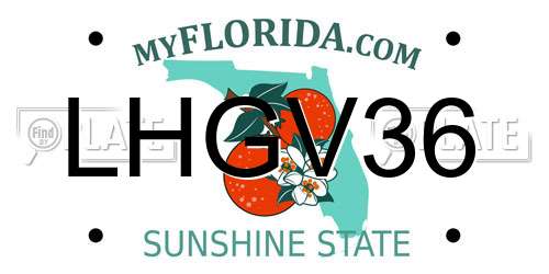 LHGV36 Florida License Plate