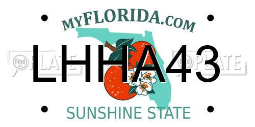 LHHA43 Florida License Plate