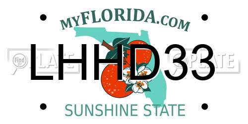 LHHD33 Florida License Plate