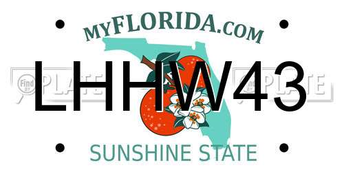 LHHW43 Florida License Plate
