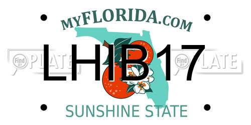 LHIB17 Florida License Plate