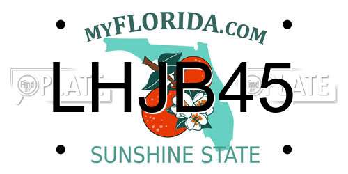 LHJB45 Florida License Plate