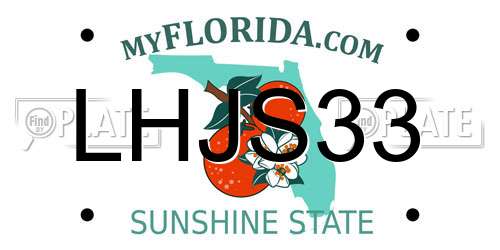 LHJS33 Florida License Plate