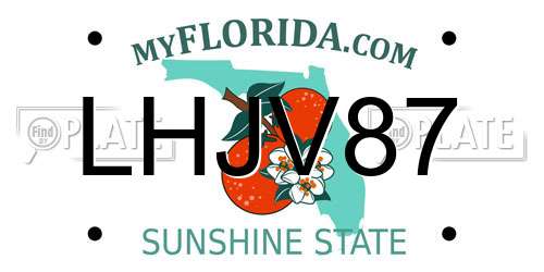 LHJV87 Florida License Plate