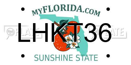 LHKT36 Florida License Plate