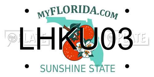 LHKU03 Florida License Plate
