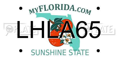 LHLA65 Florida License Plate