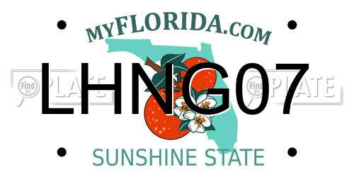 LHNG07 Florida License Plate