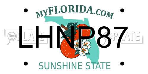LHNP87 Florida License Plate