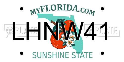 LHNW41 Florida License Plate