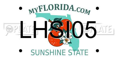 LHSI05 Florida License Plate