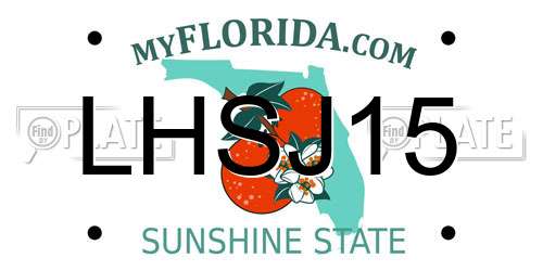 LHSJ15 Florida License Plate