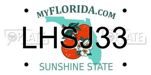 LHSJ33 Florida License Plate