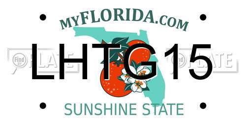 LHTG15 Florida License Plate