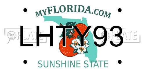 LHTY93 Florida License Plate