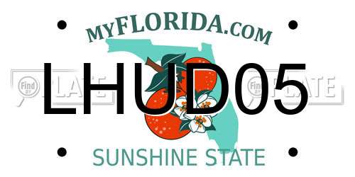 LHUD05 Florida License Plate