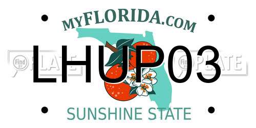 LHUP03 Florida License Plate