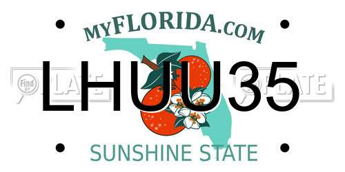 LHUU35 Florida License Plate