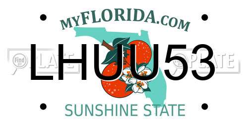 LHUU53 Florida License Plate
